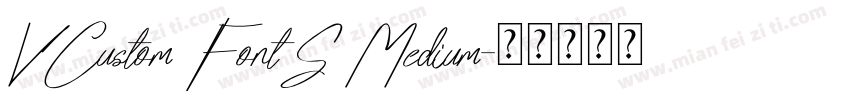 VCustom FontS Medium字体转换